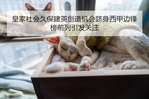 皇家社会久保建英创造机会跻身西甲边锋榜前列引发关注