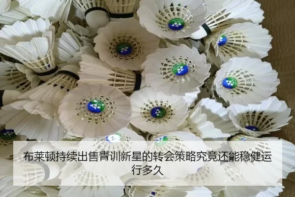 布莱顿持续出售青训新星的转会策略究竟还能稳健运行多久