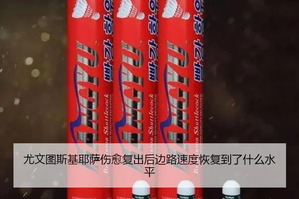 尤文图斯基耶萨伤愈复出后边路速度恢复到了什么水平